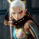 Hyrule Warriors Impa Closeup