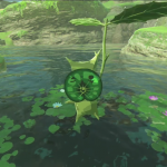 koroks