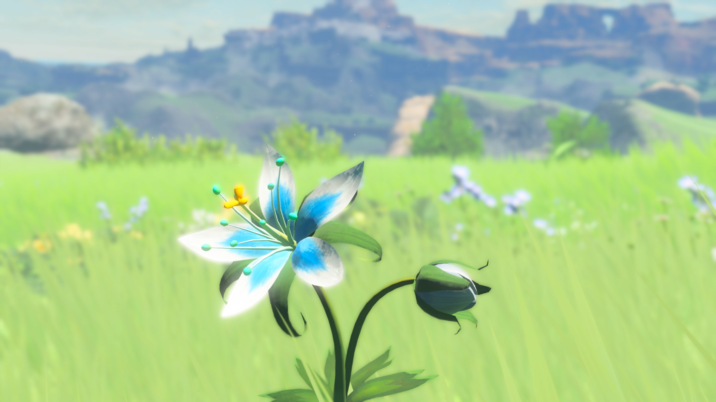 Breath of the Wild Flower