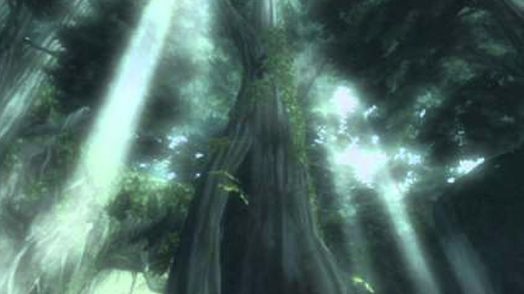 sacred grove twilight princess