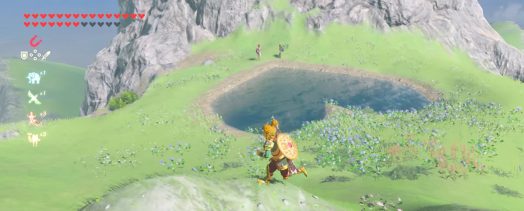 Breath of the Wild Lover's Pond BotW