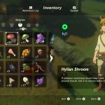 Acclaimed author accidentally publishes Breath of the Wild recipe in new book zeldacrafting