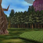 termina field cover image