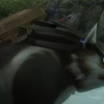 Wolf Link is still the best transformation in The Legend of Zelda wolf link