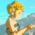 Zelda Purpose