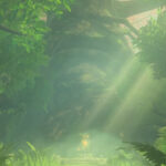 BotW_Korok_Forest