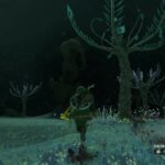 Tears of the Kingdom - A Mystery in the Depths