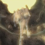 Twilight_Princess_Zora's_Domain_Entrance